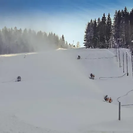 Pod Dluga Polana 3*
